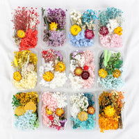 28. Komplettes Set (10% RABATT)