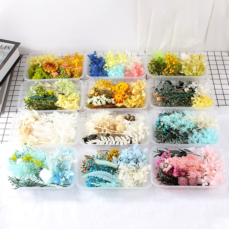 Luftgetrocknete echte Blumen boxed konservierte Blumenmaterial Pack b3