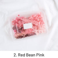 2. Rote Bohne Rosa