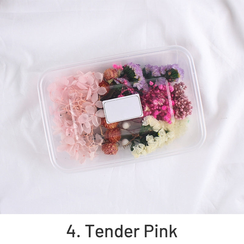 Luftgetrocknete echte Blumen-Box konserviertes Blütenmaterial-Pack sku-4