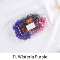 11. Wisteria Lila