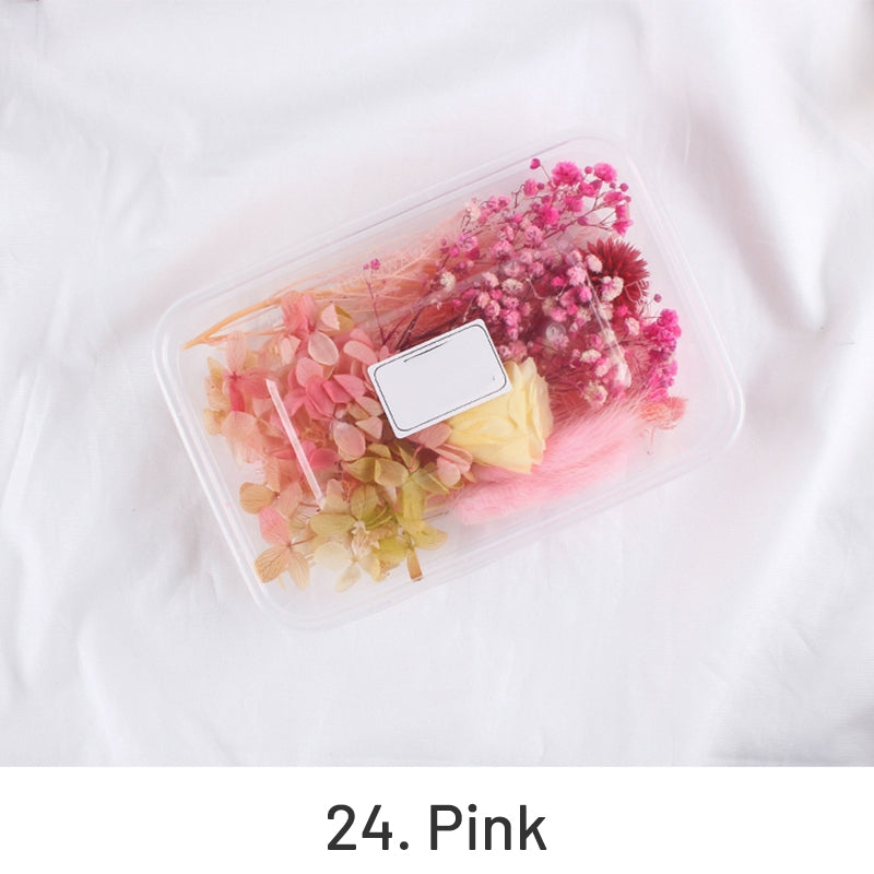 Luftgetrocknete echte Blumen in Box konserviertes florales Material Pack sku-24