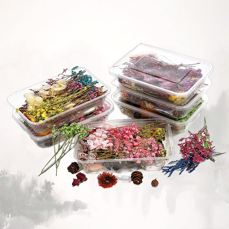 Dekorative Boxed Getrocknete Konservierte Blumen b
