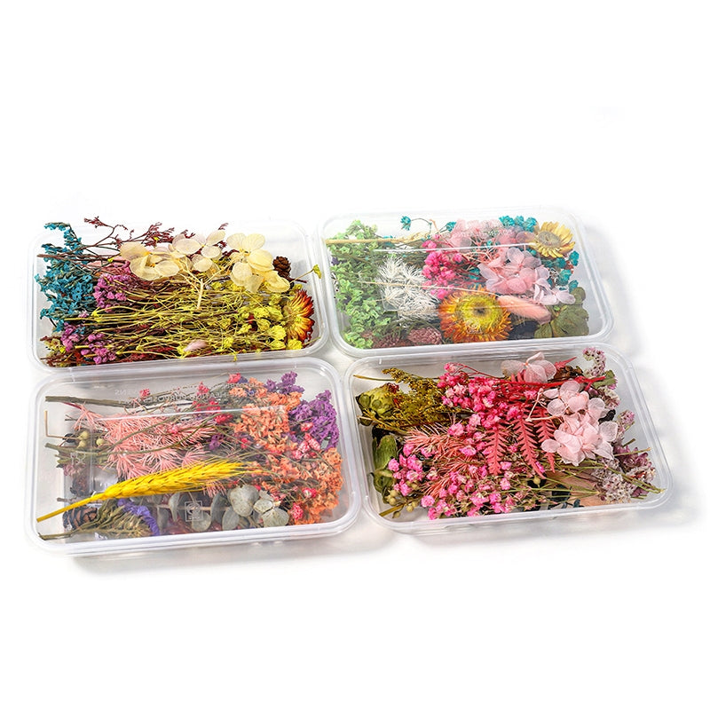 Dekorative Trockenblumen in Box b2