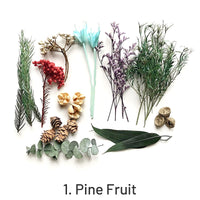 1. Kiefernfrucht 44g