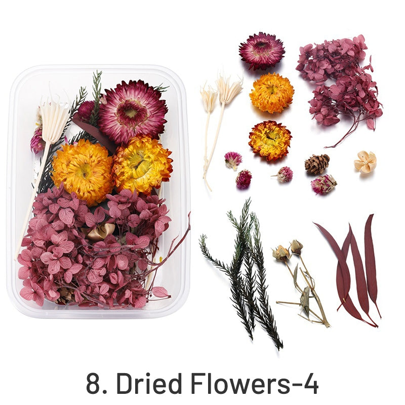 Dekorative Trockenblumen in Box konserviert sku-8
