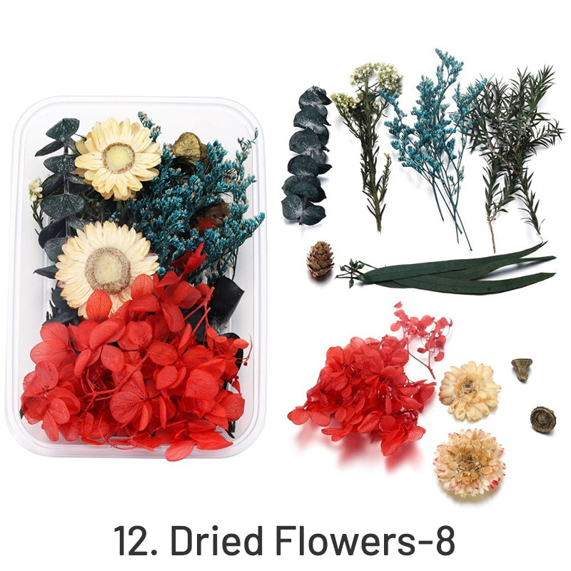 Dekorative Getrocknete Konservierte Blumen in Box sku-12