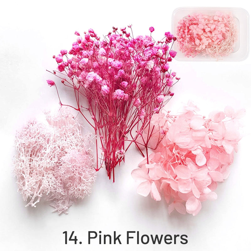 Dekorative Getrocknete Konservierte Blumen in Box sku-14