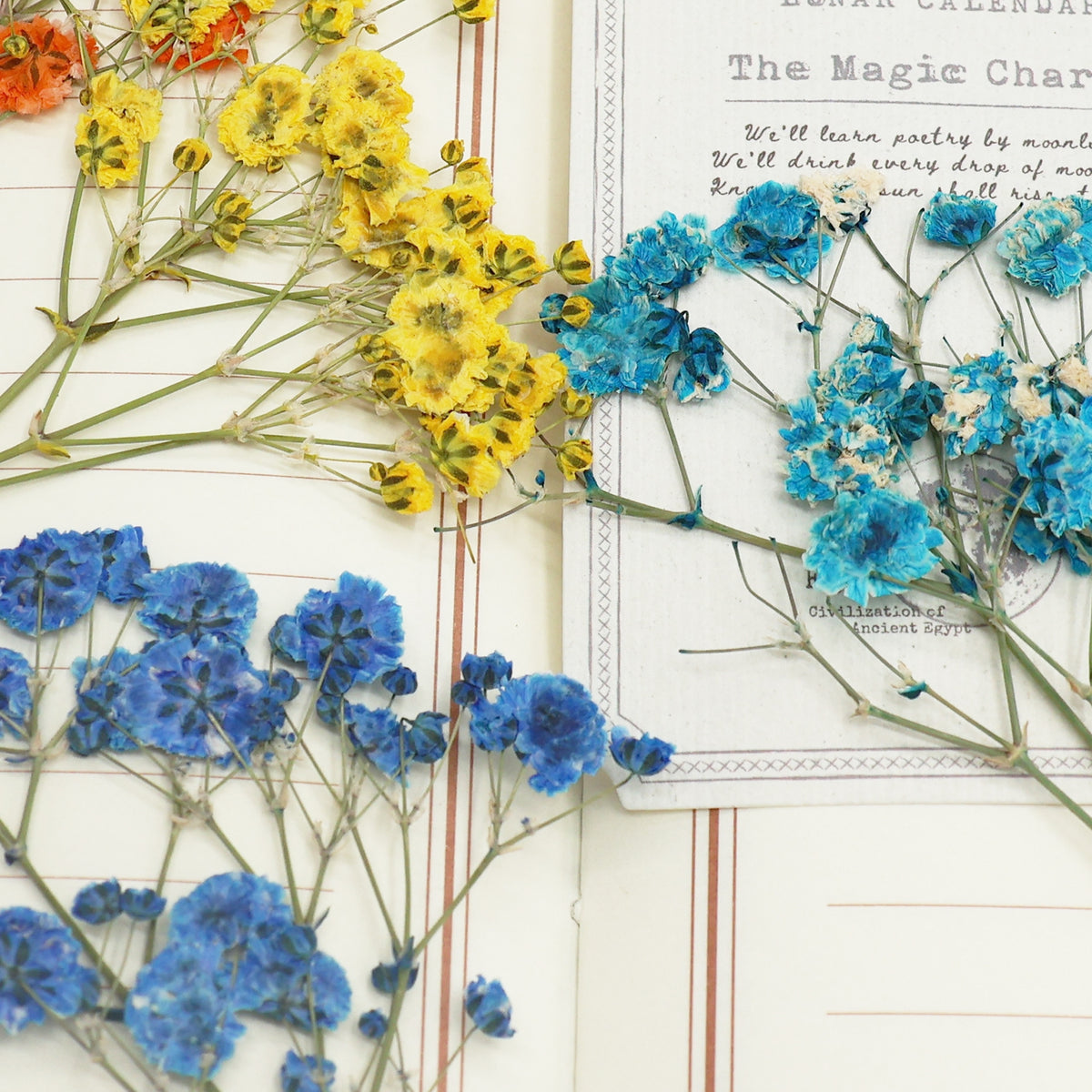 Babys Breath DIY Dried Flower Material Pack 5