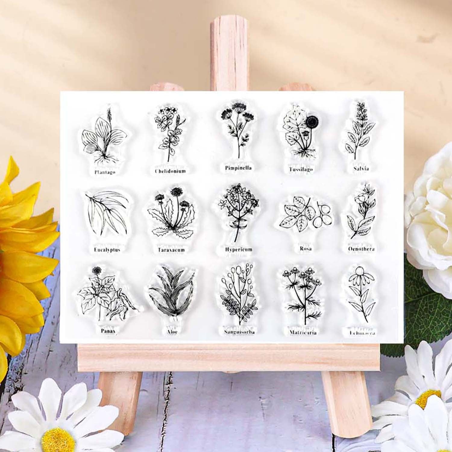 Büro-Tagebuch Illustriertes Herbarium Klarer Acryl-Stempel
