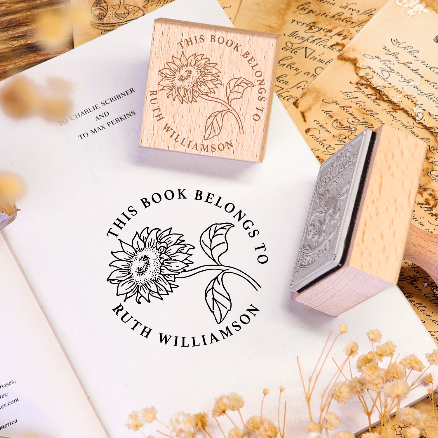 Individueller Zwillings-Schwalbenflug Ex Libris Buch Holz Gummistempel 2