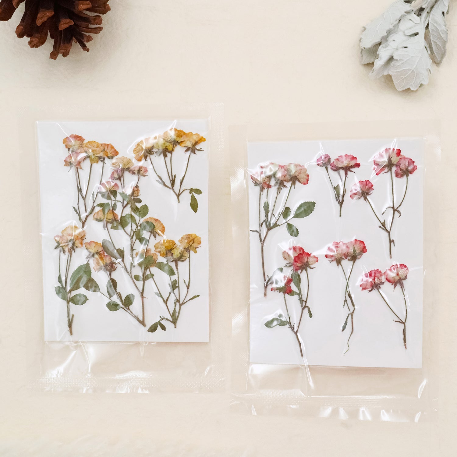 Stamprints Getrocknete Gepresste Spray Rosen-1